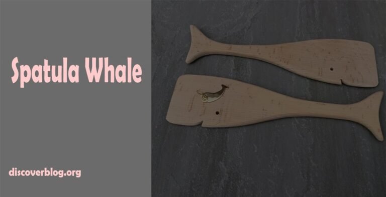 Spatula Whale