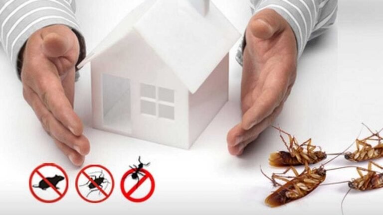 Pest Control Services