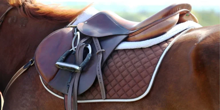 Horse Saddle