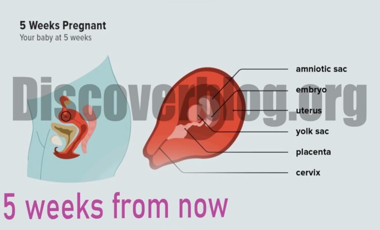 Transform Your Life in Just 5 weeks from now: A Complete Goal Achievement Guide