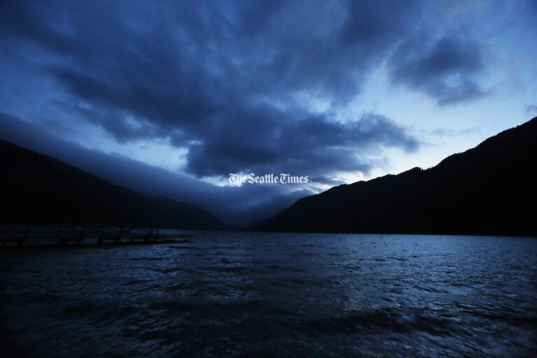 Deep Dark Lake: Secrets, Stories, and Wonders Beneath the Surface