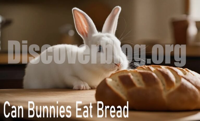 Can Bunnies Eat Bread? The Truth About Rabbit Nutrition